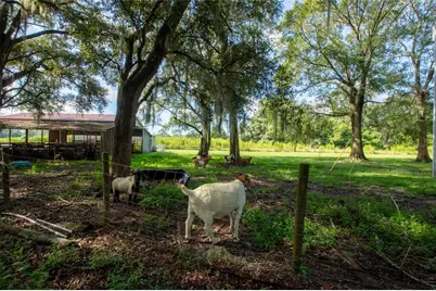 9284 NW County Road 225, Starke, FL 32091 - Photo 57