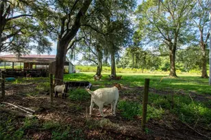 9284 NW County Rd 225, Starke, FL 32091 - Photo 57