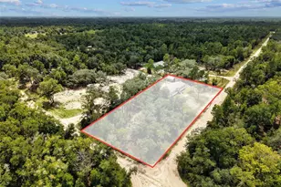 9490 NE 77th Pl, Bronson, FL 32621 - Photo 43