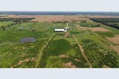 17780 Cr 132, Live Oak, FL 32060 - Photo 13