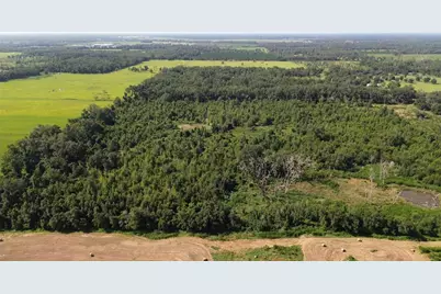 17780 Cr 132, Live Oak, FL 32060 - Photo 11