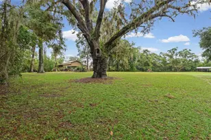 420 N Court St, Bronson, FL 32621 - Photo 41