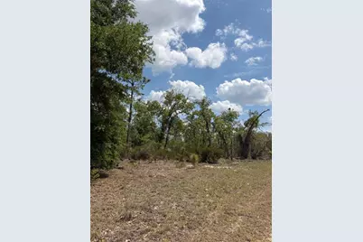 Ne 110th Avenue, Bronson, FL 32621 - Photo 13