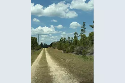 Ne 110th Avenue, Bronson, FL 32621 - Photo 5