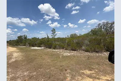 Ne 110th Avenue, Bronson, FL 32621 - Photo 9