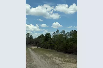 Ne 110th Avenue, Bronson, FL 32621 - Photo 3