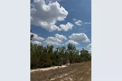 Ne 110th Avenue, Bronson, FL 32621 - Photo 11