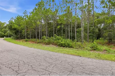 Tbd Bay Court Pass, Ocklawaha, FL 32179 - Photo 9