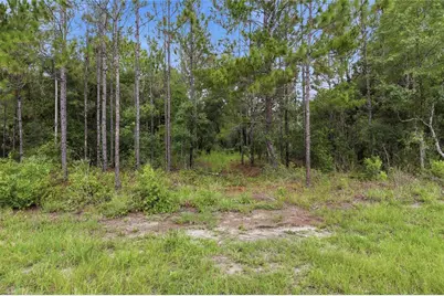 Tbd Bay Court Pass, Ocklawaha, FL 32179 - Photo 5