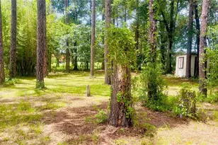 459 Marshburn Dr, Bronson, FL 32621 - Photo 23