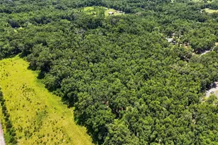 459 S W Bigfoot Ct, Fort White, FL 32038 - Photo 17