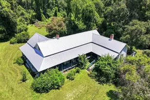 459 S W Bigfoot Ct, Fort White, FL 32038 - Photo 15