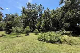 459 S W Bigfoot Ct, Fort White, FL 32038 - Photo 23