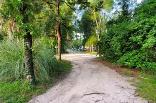 23676 NW 194th Ave, High Springs, FL 32643 - Photo 3