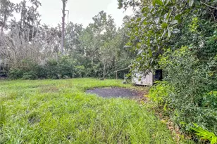 11719 NE 7th Ave, Gainesville, FL 32641 - Photo 19