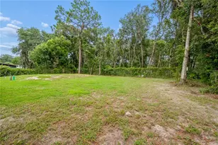 111 Breezeway Ave, Satsuma, FL 32189 - Photo 9