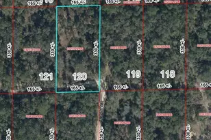 Lot 120 NE 113th Ln, Bronson, FL 32621 - Photo 1
