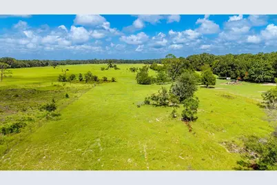 0000 NW 20th Street, Bell, FL 32619 - Photo 9