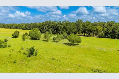 0000 NW 20th Street, Bell, FL 32619 - Photo 11