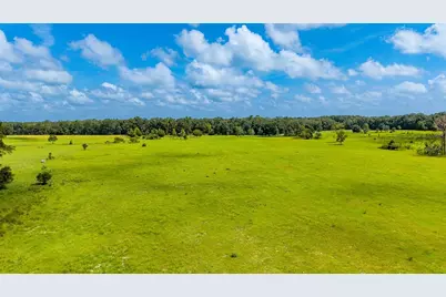 0000 NW 20th Street, Bell, FL 32619 - Photo 7