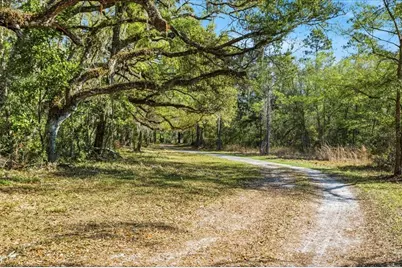 957 NE 354th Avenue, Old Town, FL 32680 - Photo 15