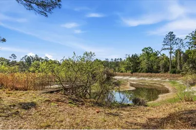 957 NE 354th Avenue, Old Town, FL 32680 - Photo 17