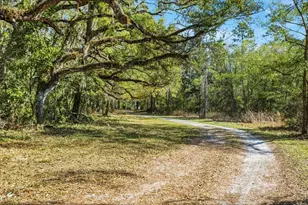 957 NE 354th Ave, Old Town, FL 32680 - Photo 5