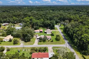 17171 NW 80th Terrace, Trenton, FL 32693 - Photo 33