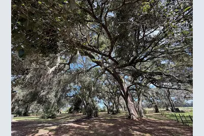 217 SE 118th Avenue, Old Town, FL 32680 - Photo 19