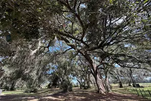 217 SE 118th Ave, Old Town, FL 32680 - Photo 19