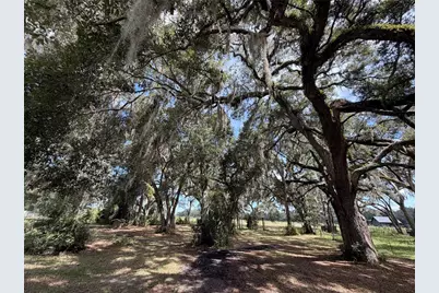 217 SE 118th Avenue, Old Town, FL 32680 - Photo 17