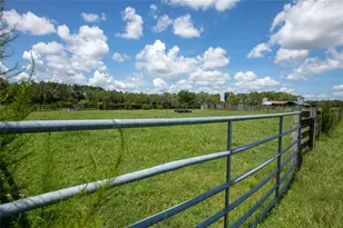 9284 NW Cr 225, Starke, FL 32091 - Photo 97