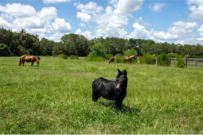 9284 NW Cr  225, Starke, FL 32091 - Photo 99