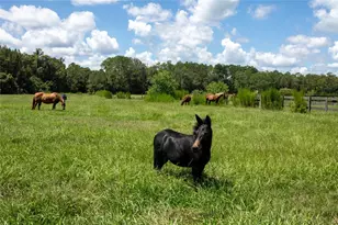 9284 NW Cr 225, Starke, FL 32091 - Photo 99