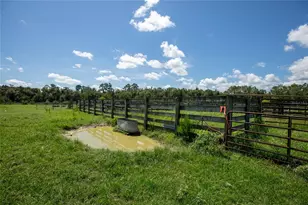 9284 NW Cr 225, Starke, FL 32091 - Photo 95
