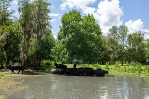 9284 NW Cr 225, Starke, FL 32091 - Photo 89