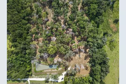 16545 NW 128th Terrace #Lot 37 & 36, Reddick, FL 32686 - Photo 5