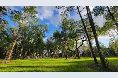 16545 NW 128th Terrace #Lot 37 & 36, Reddick, FL 32686 - Photo 1