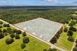 3773 SW Herlong St, Fort White, FL 32038 - Photo 3