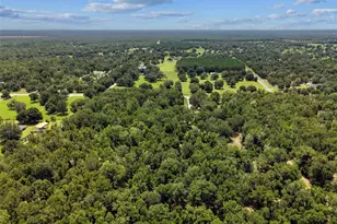 3773 SW Herlong St, Fort White, FL 32038 - Photo 9