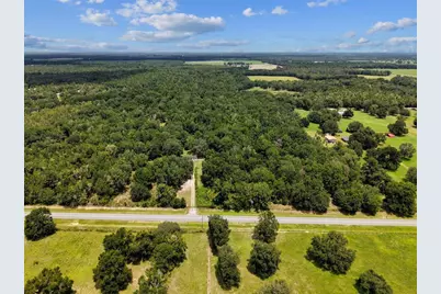 3773 SW Herlong Street, Fort White, FL 32038 - Photo 15