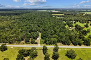 3773 SW Herlong St, Fort White, FL 32038 - Photo 15