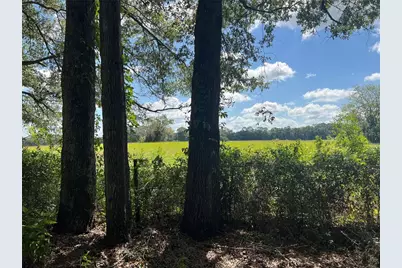 17417 NW 222nd Street, High Springs, FL 32643 - Photo 35
