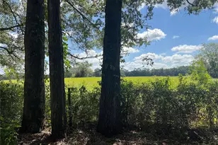 17417 NW 222nd St, High Springs, FL 32643 - Photo 35