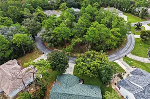 10 Colubrina Ct, Homosassa, FL 34446 - Photo 7