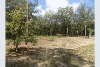 10637 NE 92 Place, Bronson, FL 32621 - Photo 11
