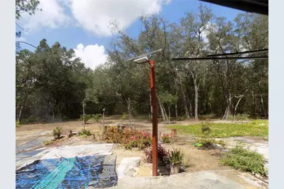 10637 NE 92 Place, Bronson, FL 32621 - Photo 7