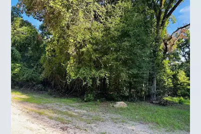 Sw Fox Place #Lots 38 & 39, Fort White, FL 32038 - Photo 5