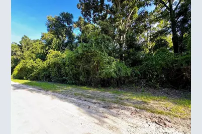 Sw Fox Place #Lots 38 & 39, Fort White, FL 32038 - Photo 11