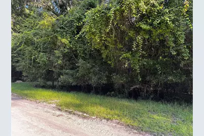 Sw Fox Place #Lots 38 & 39, Fort White, FL 32038 - Photo 3